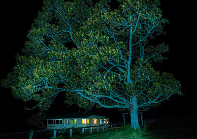 Cedar Glen Scenic Rim Accommodation Dairy Cottage at Night