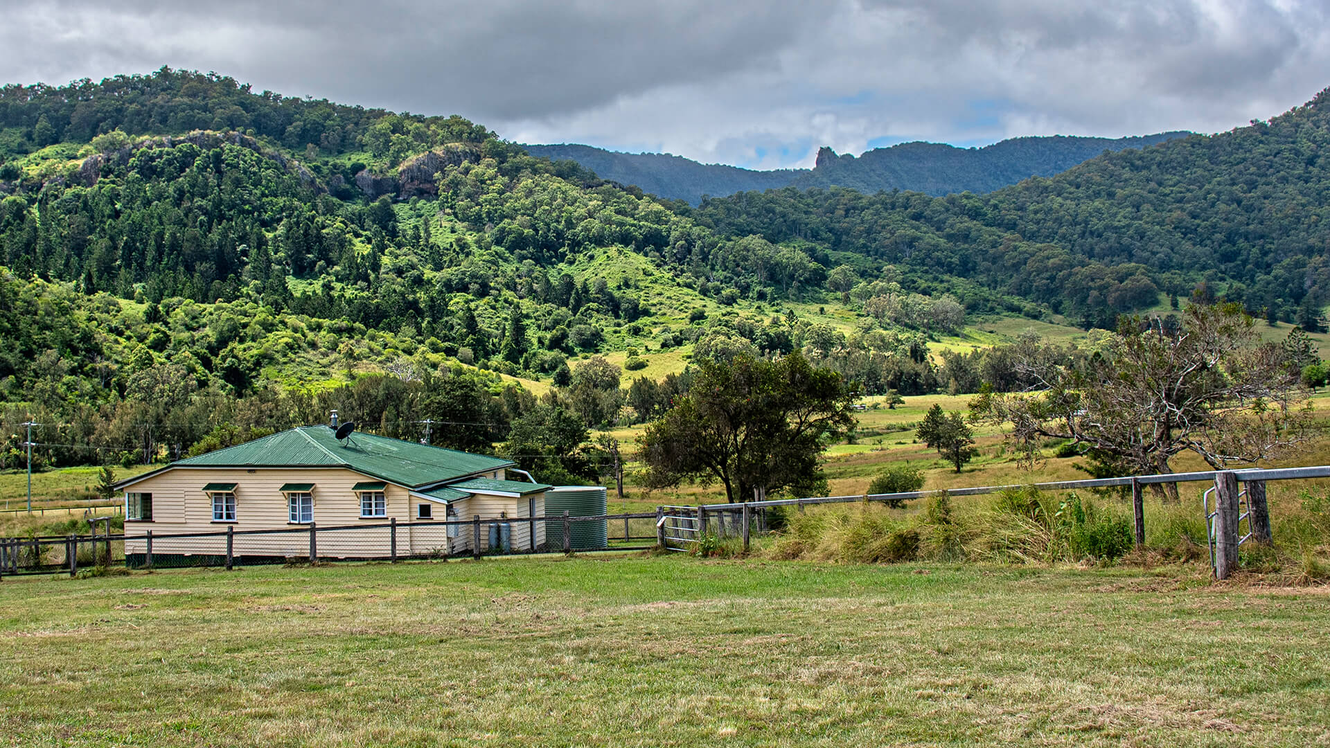 Cedar Glen Scenic Rim Accommodation Dairy Cottage.jpg<br />
Cedar Glen Scenic Rim Accommodation Stinson Cottage.jpg<br />
Cedar Glen Scenic Rim Accommodation The Homestead.jpg